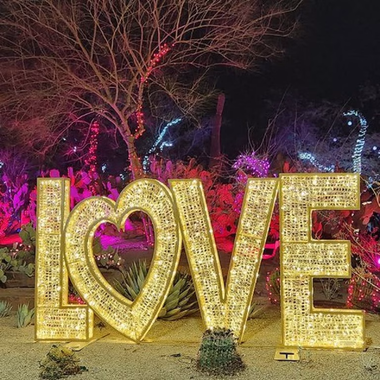 love_lights (5)
