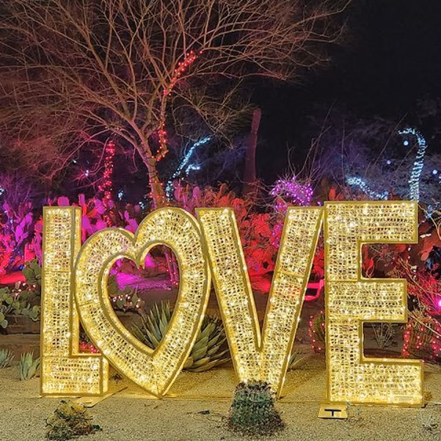 love_lights (5)